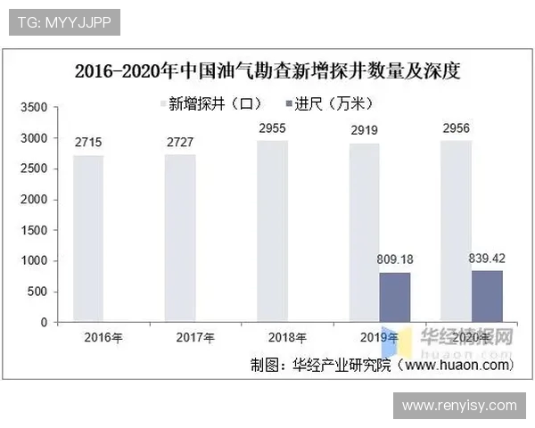 广州网球队团队协作深度对比分析与发展建议