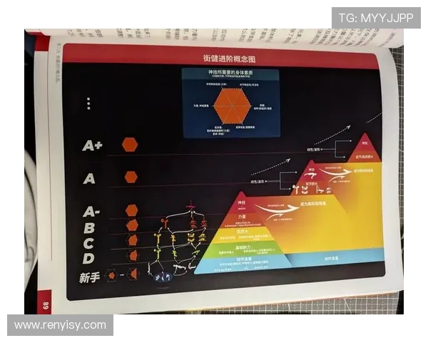 健身初学者必读全方位指南打造健康体魄从基础到进阶的有效训练方法